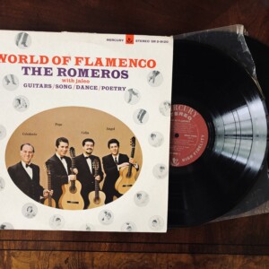 Analog Minneapolis is pre digital collectibles, antiques, vintage, jewelry, apparel, design, electronics, vinyl..and more!